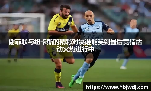 谢菲联与纽卡斯的精彩对决谁能笑到最后竞猜活动火热进行中