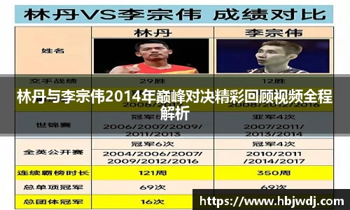 林丹与李宗伟2014年巅峰对决精彩回顾视频全程解析